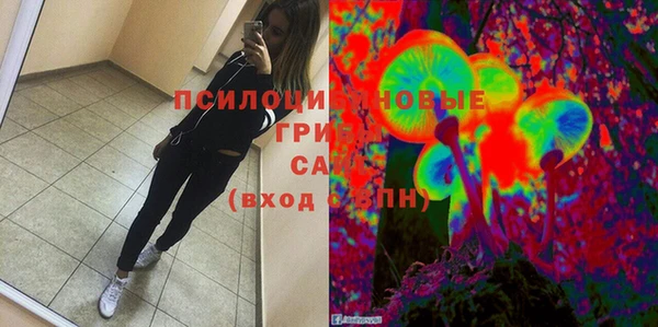 метадон Алексин