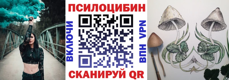 наркошоп  Заволжск  Псилоцибиновые грибы Cubensis 